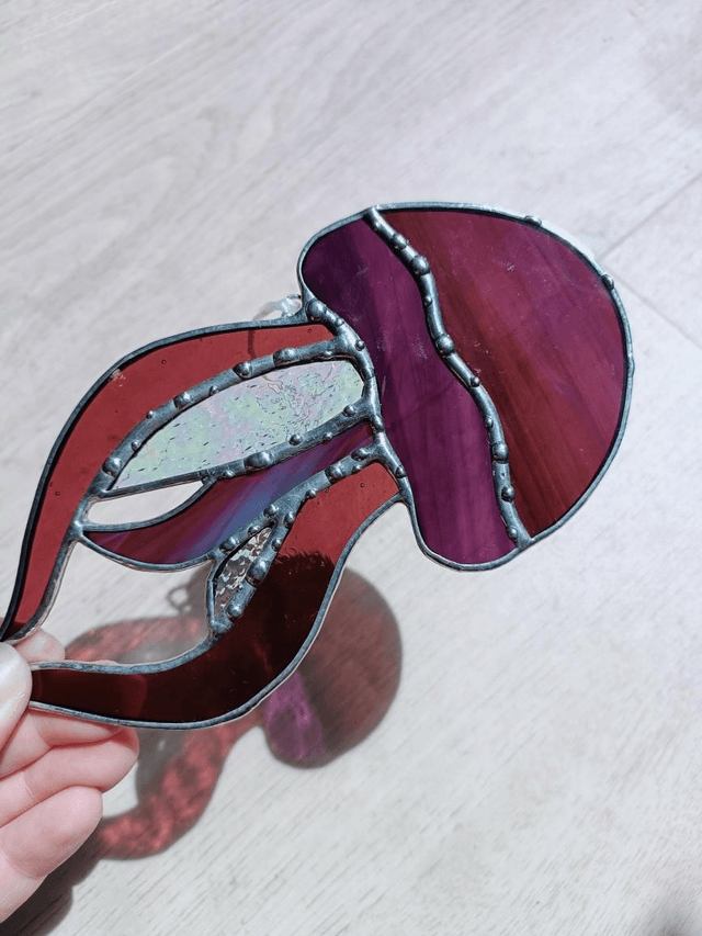Méduse violette 